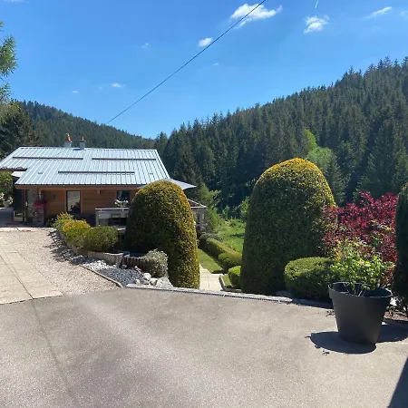 De Montagne Au De Snow