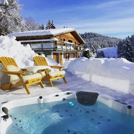 De Montagne Au De Snow Apartment