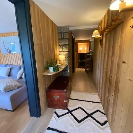 Apartment De Montagne Au De Snow