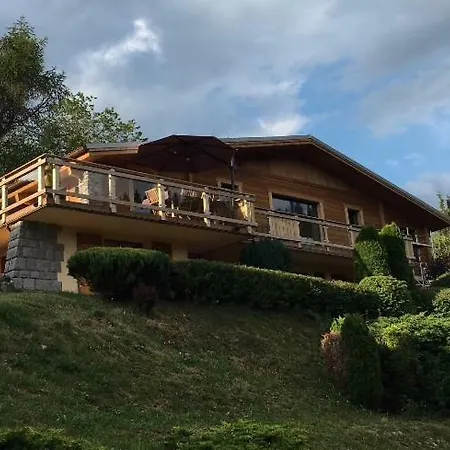 De Montagne Au De Snow Apartment
